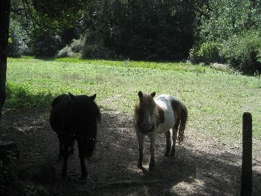 Cama y desayuno en Biert/ Massat (Ari�ge)Casa de vacaciones