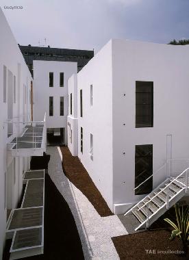 Dise�o y tradici�n