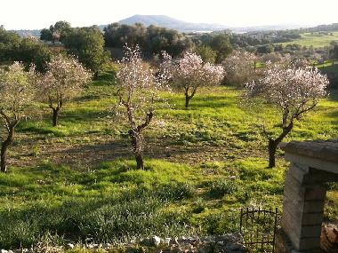 Casa de vacaciones en Petra (Mallorca)Casa de vacaciones