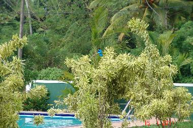 Villa en Aluthgama (Kalutara)Casa de vacaciones