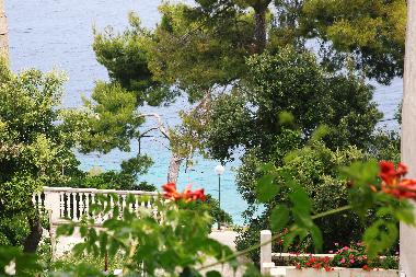 Apartamento de vacaciones en prigradica (Dubrovacko-Neretvanska)Casa de vacaciones