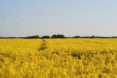 Apartamento de vacaciones en Seebad Breege Juliusruh (Ostsee-Inseln)Casa de vacaciones