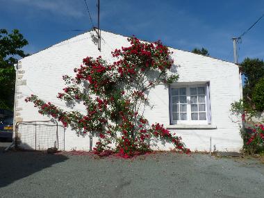 Casa de vacaciones en Meursac (Charente-Maritime)Casa de vacaciones