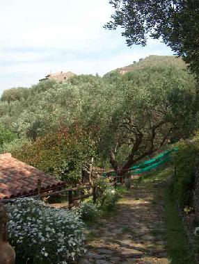 Casa de vacaciones en Ascea (Salerno)Casa de vacaciones