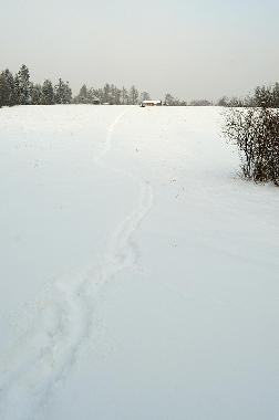 Casa de vacaciones en Uherce Mineralne (Podkarpackie)Casa de vacaciones