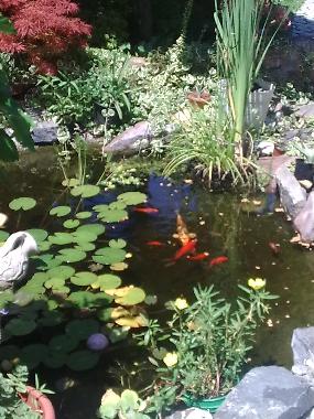 Casa de vacaciones en Balatonbogl�r (Somogy)Casa de vacaciones