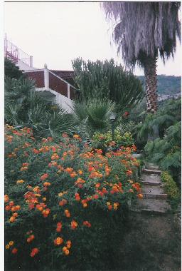 Apartamento de vacaciones en Joppolo (Vibo Valentia)Casa de vacaciones