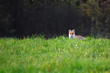 Casa de vacaciones en Uherce Mineralne (Podkarpackie)Casa de vacaciones