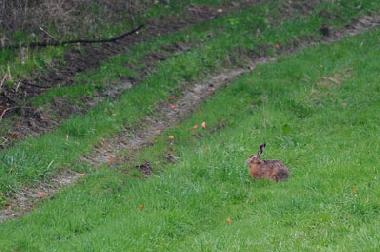 Casa de vacaciones en Uherce Mineralne (Podkarpackie)Casa de vacaciones
