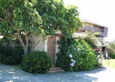 Apartamento de vacaciones en San Mart�n de Podes (Asturias)Casa de vacaciones