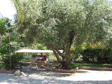 Apartamento de vacaciones en joppolo (Vibo Valentia)Casa de vacaciones