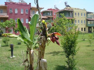 Casa de vacaciones en kizilot (Antalya)Casa de vacaciones