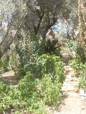 Chalet en Olympos (Antalya)Casa de vacaciones