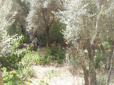 Chalet en Olympos (Antalya)Casa de vacaciones