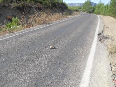 Chalet en Olympos (Antalya)Casa de vacaciones
