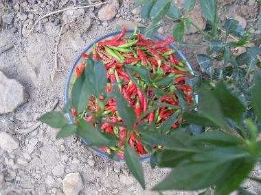 Chalet en Olympos (Antalya)Casa de vacaciones