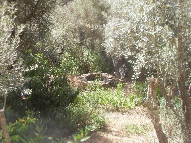 Chalet en Olympos (Antalya)Casa de vacaciones