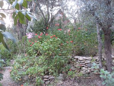 Chalet en Olympos (Antalya)Casa de vacaciones