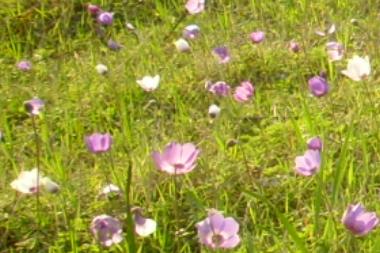 Villa en Agios Nikolaos - Istron (Lasithi)Casa de vacaciones