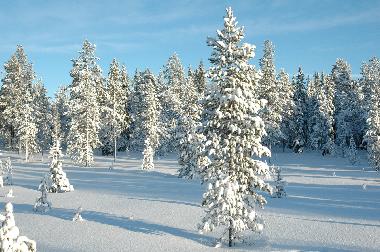 Casa de vacaciones en S�LEN-Tand�dalen (Dalarna)Casa de vacaciones