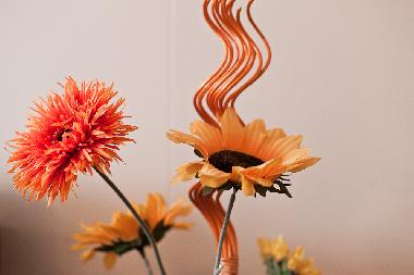 Apartamento de vacaciones en �safj�r�ur (Isafjordur)Casa de vacaciones