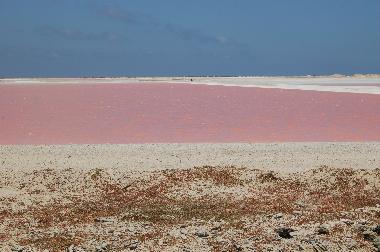 Apartamento de vacaciones en Kralendijk (Bonaire)Casa de vacaciones