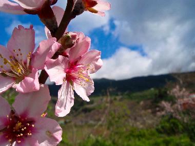 Casa de vacaciones en Las Manchas (La Palma und El Hierro)Casa de vacaciones
