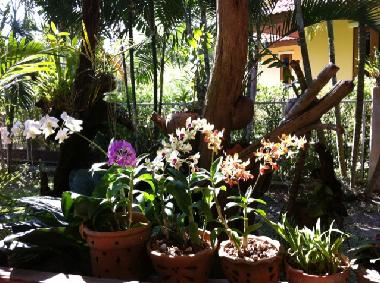 Casa de vacaciones en Aonang (Krabi)Casa de vacaciones