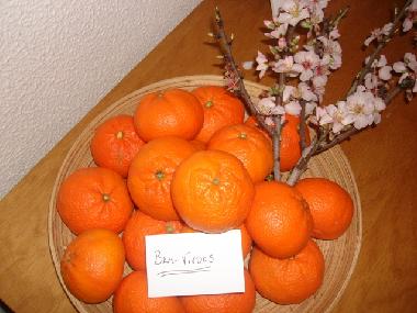 Apartamento de vacaciones en Quarteira (Algarve)Casa de vacaciones