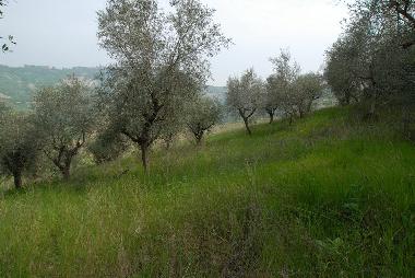 Apartamento de vacaciones en Ripatransone (Ascoli Piceno)Casa de vacaciones