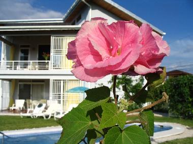 Casa de vacaciones en Playa Carrillo (Guanacaste)Casa de vacaciones