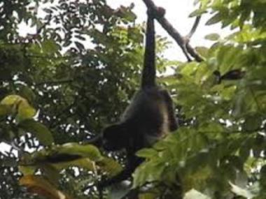 Casa de vacaciones en Playa Carrillo (Guanacaste)Casa de vacaciones