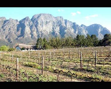Hotel en Franschhoek (Western Cape)Casa de vacaciones