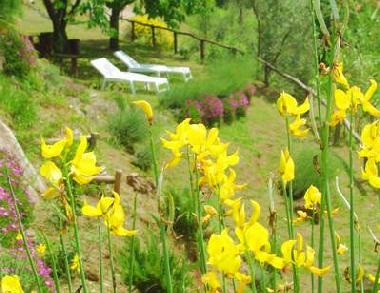 Casa de vacaciones en Barga (Lucca)Casa de vacaciones