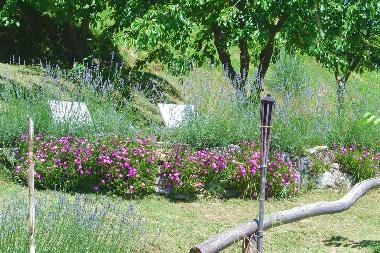 Casa de vacaciones en Barga (Lucca)Casa de vacaciones