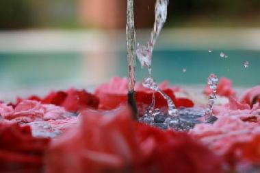 Cama y desayuno en Marrakech (Marrakech)Casa de vacaciones