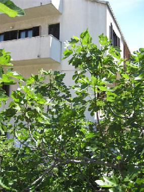 Apartamento de vacaciones en Split (Splitsko-Dalmatinska)Casa de vacaciones