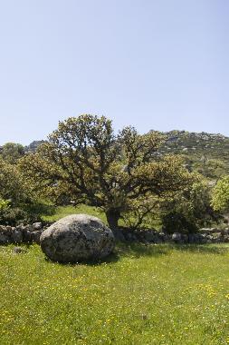 Casa de vacaciones en Tinos island (Kyklades)Casa de vacaciones