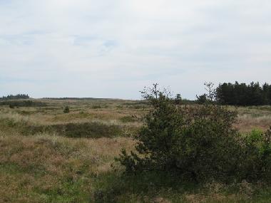 Casa de vacaciones en Bedsted (Nordjylland)Casa de vacaciones