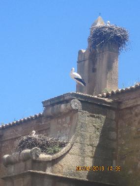 Apartamento de vacaciones en Cceres (Cceres)Casa de vacaciones