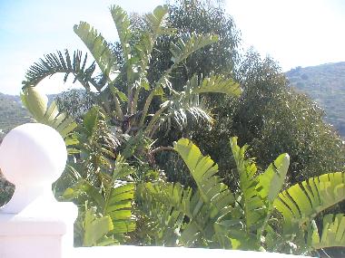 Villa en Torrox (M�laga)Casa de vacaciones