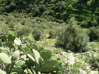 Villa en Torrox (M�laga)Casa de vacaciones
