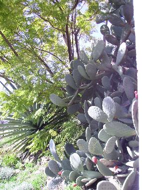 Villa en Torrox (M�laga)Casa de vacaciones