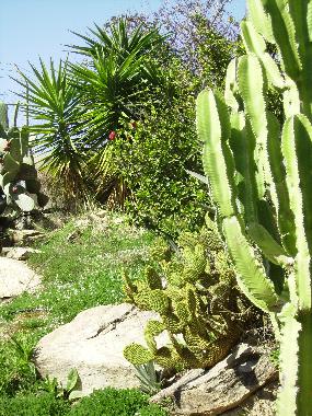 Villa en Torrox (M�laga)Casa de vacaciones