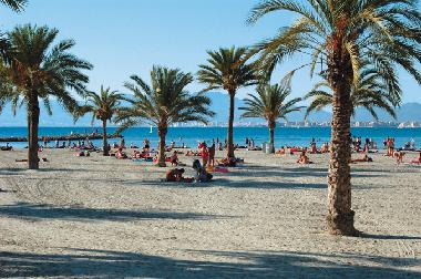 Apartamento de vacaciones en Palma de Mallorca (Mallorca)Casa de vacaciones