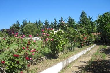 Apartamento de vacaciones en Litochoron (Pella)Casa de vacaciones