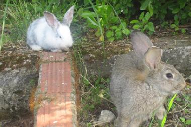 Apartamento de vacaciones en Litochoron (Pella)Casa de vacaciones