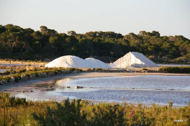 Apartamento de vacaciones en Colonia de Sant Jordi (Mallorca)Casa de vacaciones