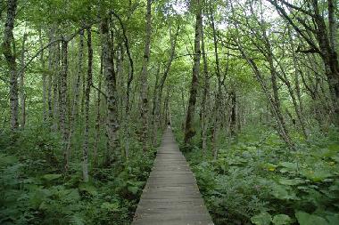 Casa de vacaciones en Kolasin (Montenegro)Casa de vacaciones