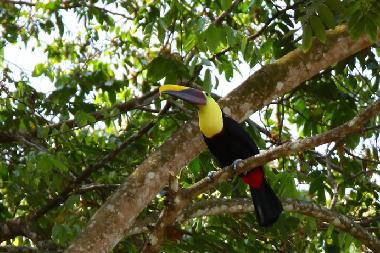 Casa de vacaciones en La Inmaculada (Puntarenas)Casa de vacaciones